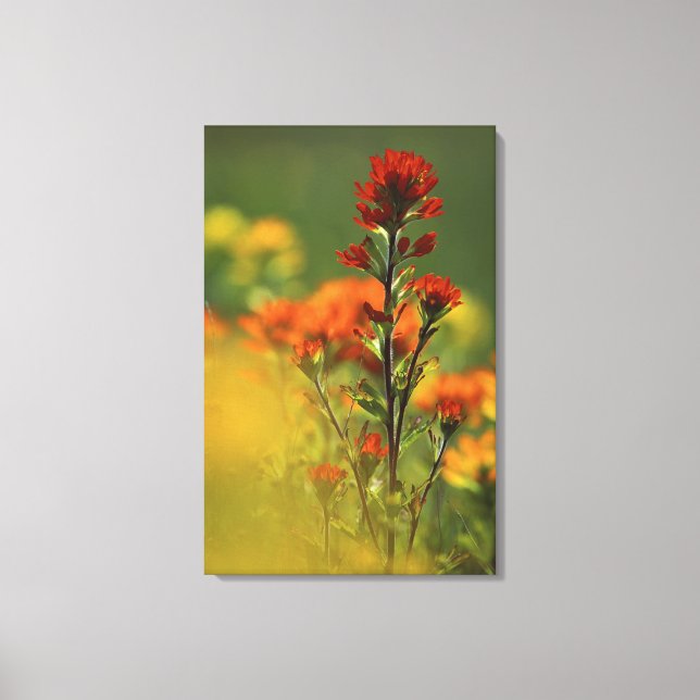 USA, Michigan, Drummond Island, Maxton Plains, Leinwanddruck (Vorderseite)