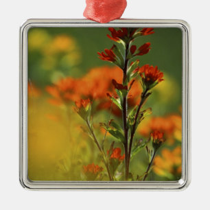 USA, Michigan, Drummond Island, Maxton Plains, Ornament Aus Metall