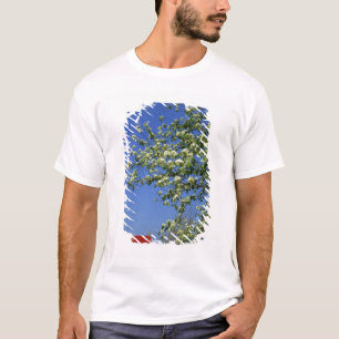 USA, Michigan, East Tawas. Tawas Leuchtturm mit T-Shirt
