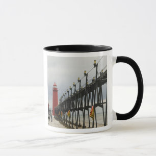 USA, Michigan, Lake Michigan Shore, Grand Haven: Tasse