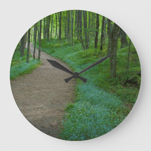 USA, Michigan. Miner's Falls Trail Große Wanduhr (Vorderseite)