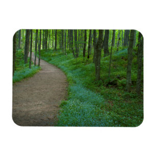 USA, Michigan. Miner's Falls Trail Magnet