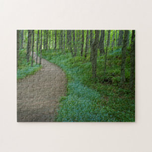 USA, Michigan. Miner's Falls Trail Puzzle