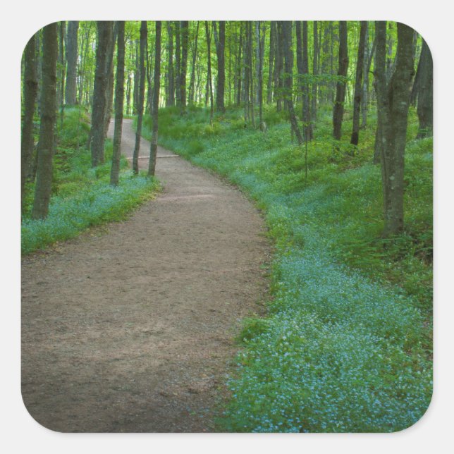 USA, Michigan. Miner's Falls Trail Quadratischer Aufkleber (Vorderseite)