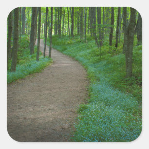 USA, Michigan. Miner's Falls Trail Quadratischer Aufkleber