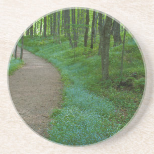 USA, Michigan. Miner's Falls Trail Untersetzer
