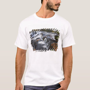 USA, Michigan, Obere Halbinsel. Bond Falls und T-Shirt