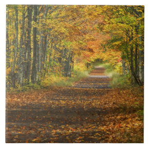 USA, Michigan, Obere Halbinsel. Weg in Fliese