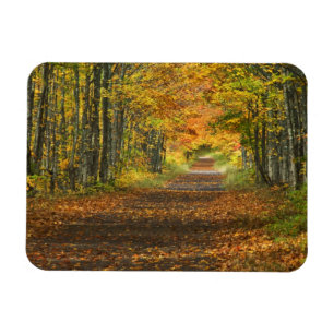 USA, Michigan, Obere Halbinsel. Weg in Magnet