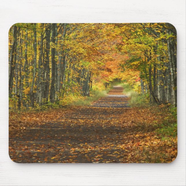 USA, Michigan, Obere Halbinsel. Weg in Mousepad (Vorne)