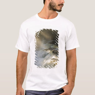 USA, Michigan, Oberes Halbinsel. Sonnenstrahlen au T-Shirt