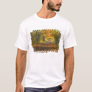 USA, Michigan, Oberes Halbinsel. Straße in T-Shirt