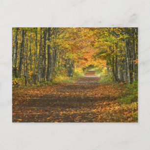 USA, Michigan, Oberes Halbinselgebiet. Straße in Postkarte