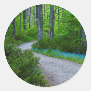 USA, Michigan. Pfad durch den Wald Runder Aufkleber