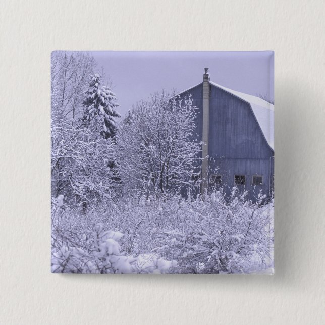 USA, Michigan, Rochester Hills. Schneeblau Button (Vorderseite)