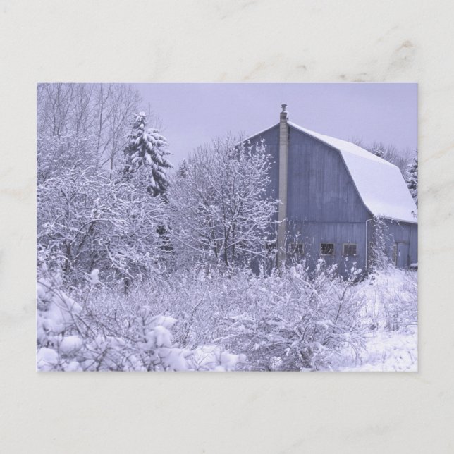 USA, Michigan, Rochester Hills. Schneeblau Postkarte (Vorderseite)
