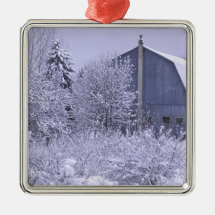 USA, Michigan, Rochester Hills. Schneeblau Silbernes Ornament