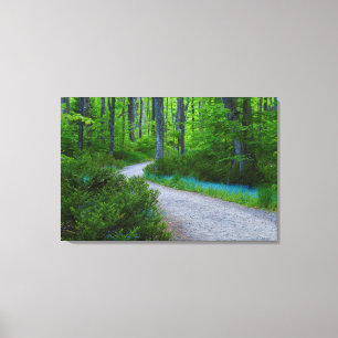 USA, Michigan. Weg durch den Wald Leinwanddruck