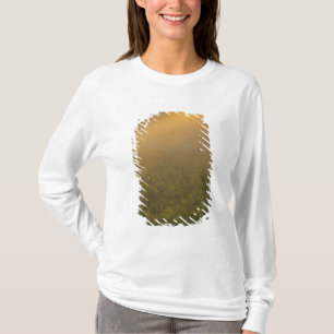 USA, Michigan, Wiese mit Goldrutenpflanzen T-Shirt