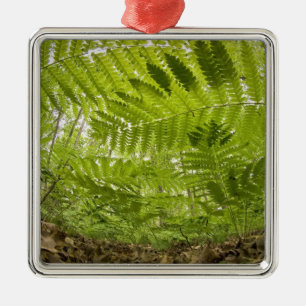 USA, MInesota, North Shore Lake Superior, Silbernes Ornament