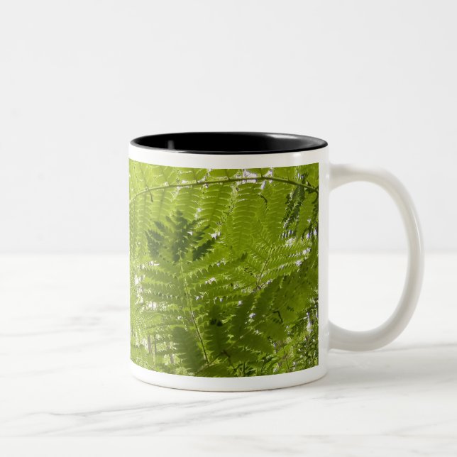 USA, MInesota, North Shore Lake Superior, Zweifarbige Tasse (Rechts)