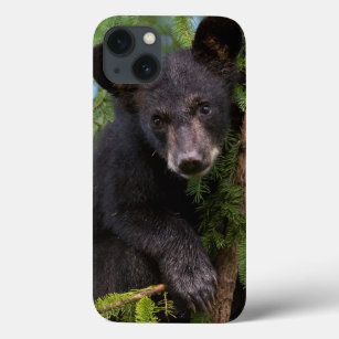 USA, Minnesota, Sandstone, Minnesota Wildlife 8 Case-Mate iPhone Hülle