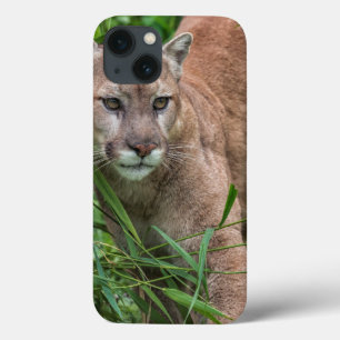 USA, Minnesota, Sandstone, Minnesota Wildlife Case-Mate iPhone Hülle