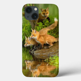 USA, Minnesota, Sandstone, Minnesota-Wildlife Case-Mate iPhone Hülle