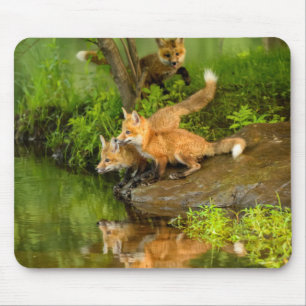 USA, Minnesota, Sandstone, Minnesota Wildlife Mousepad