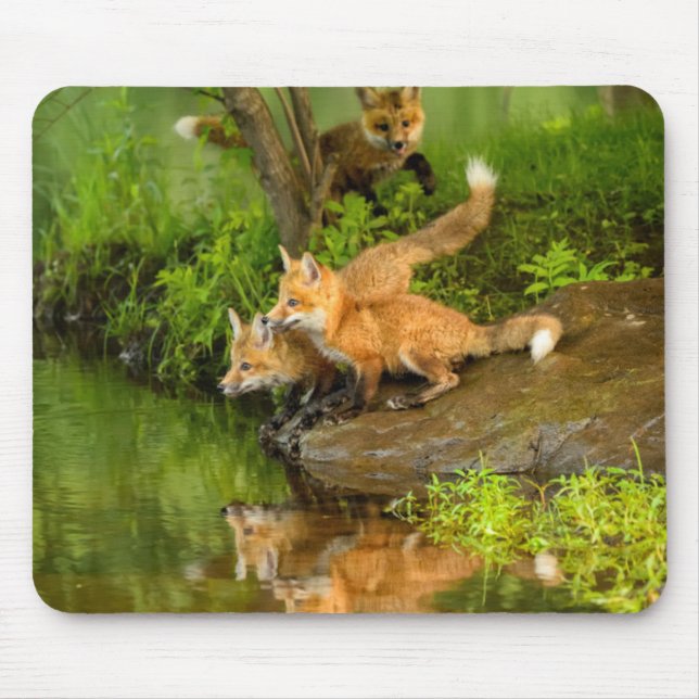 USA, Minnesota, Sandstone, Minnesota Wildlife Mousepad (Vorne)