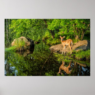 USA, Minnesota, Sandstone, Minnesota Wildlife Poster