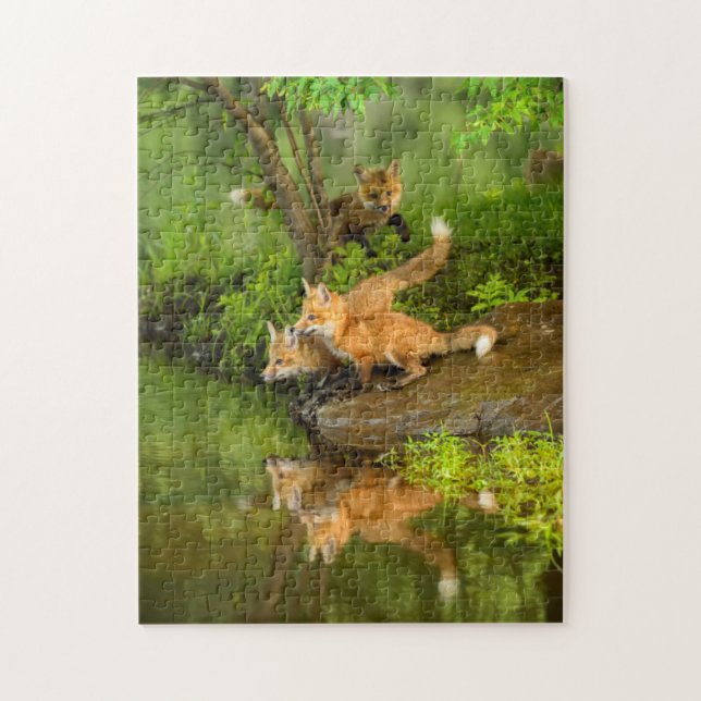 USA, Minnesota, Sandstone, Minnesota Wildlife Puzzle (Vertikal)