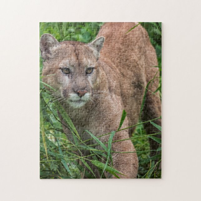 USA, Minnesota, Sandstone, Minnesota Wildlife Puzzle (Vertikal)