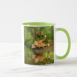 USA, Minnesota, Sandstone, Minnesota Wildlife Tasse