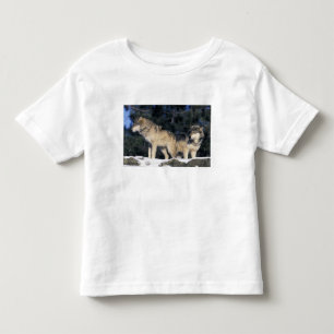 USA, Minnesota. Wolf Canis 2 Kleinkind T-shirt