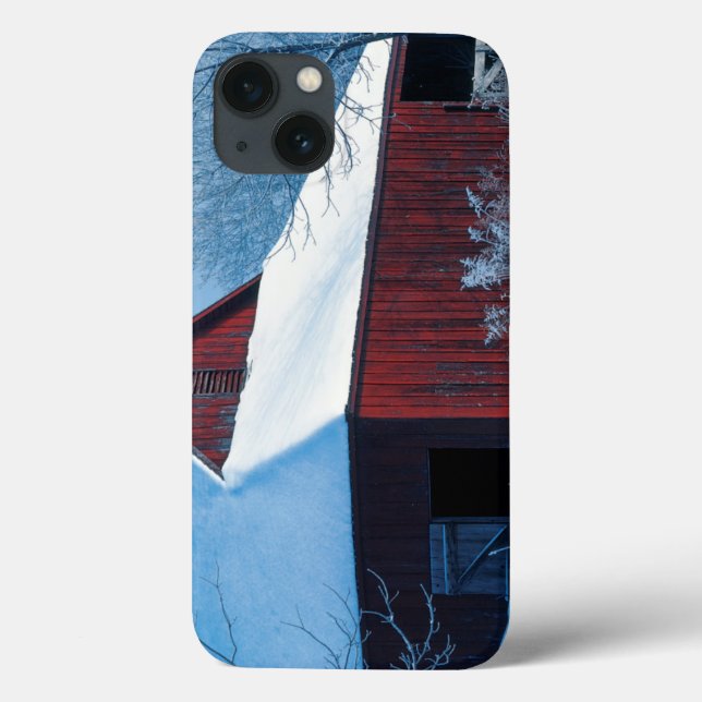 USA, Missouri, Jackson County, Fleming Park Case-Mate iPhone Hülle (Rückseite)