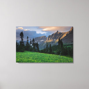 USA, Montana, Glacier National Park, Logan Pass Leinwanddruck