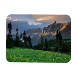USA, Montana, Glacier National Park, Logan Pass Magnet