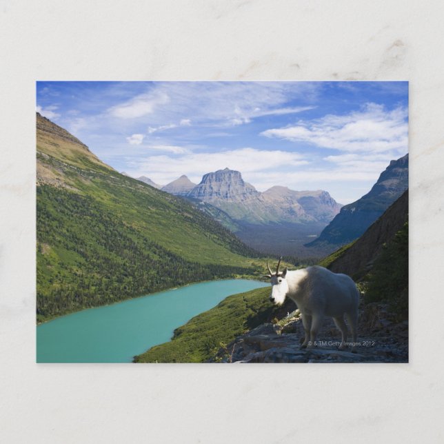 USA, Montana, Glacier National Park, Mountain Postkarte (Vorderseite)