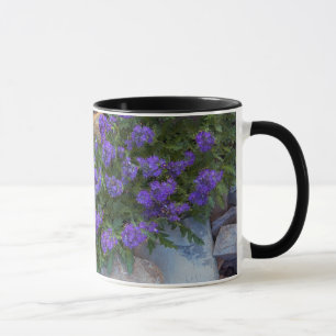 USA, Montana, Glacier National Park Tasse