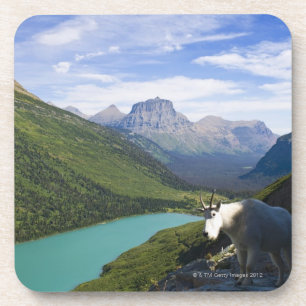 USA, Montana, Glacier Nationalpark, Berg Untersetzer