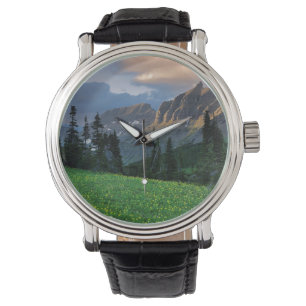 USA, Montana, Glacier-Nationalpark, Logan Pass Armbanduhr