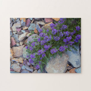 USA, Montana, Glacier-Nationalpark Puzzle