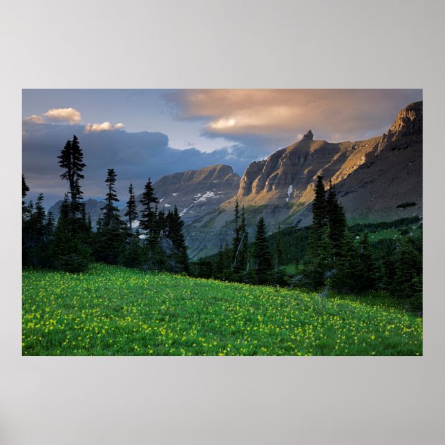 USA, Montana, Gletscher National Park, Logan Pass Poster (Vorne)