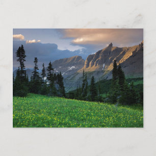 USA, Montana, Gletscher National Park, Logan Pass Postkarte
