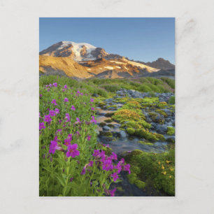 USA, Mt. Rainier National Park, Washington. Postkarte