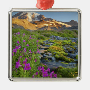 USA, Mt. Rainier Nationalpark, Washington. Silbernes Ornament