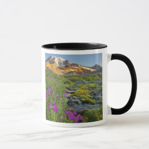 USA, Mt. Rainier Nationalpark, Washington. Tasse