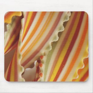USA. Nahaufnahme von getrockneten Regenbogen-Pasta Mousepad