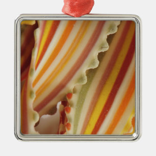  USA. Nahe Aufbereitung getrockneter Regenbogenbei Silbernes Ornament